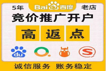 SEM运营公司案例解析：精准广告投放技巧